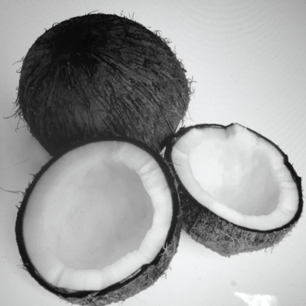 Black Coconut Fragrance Oil
