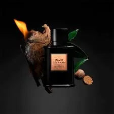 Bold Instinct by David Beckham for Men EDP 2.5 oz Spray