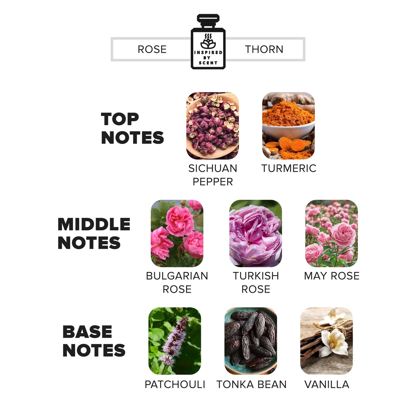 Car Air Freshener Inspired By Scent ROSE PRICK, #19 Rose Thorn