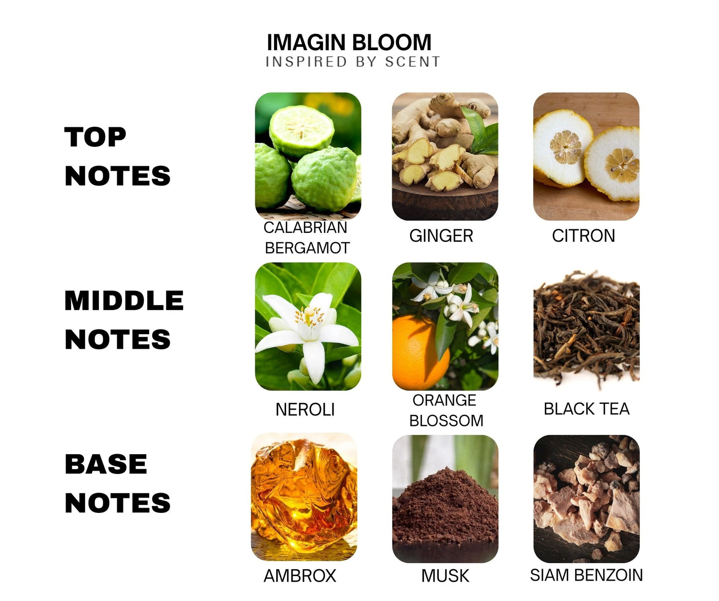 #3 Imagin Bloom Car Air Freshener