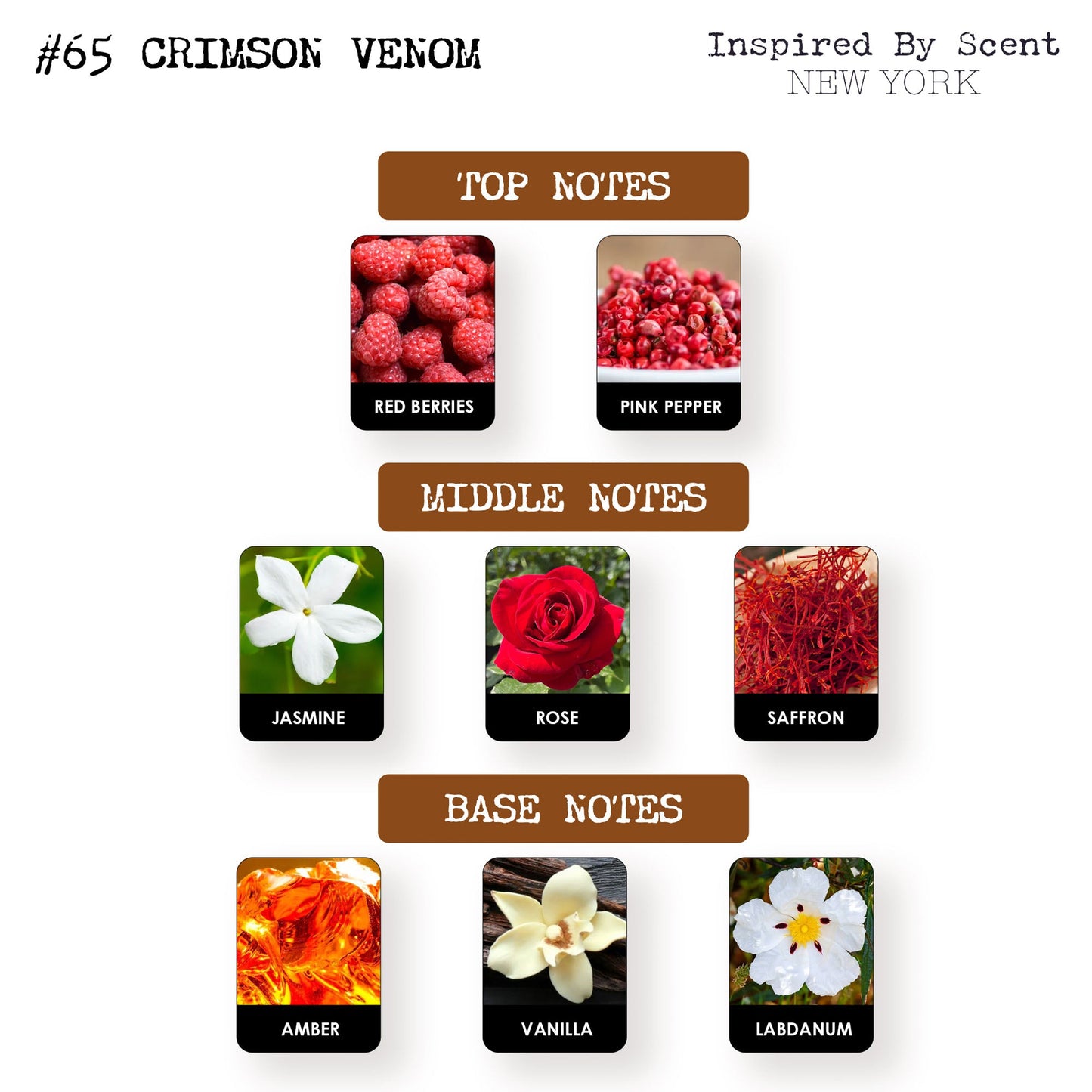 #66 Island Innocence Parfum