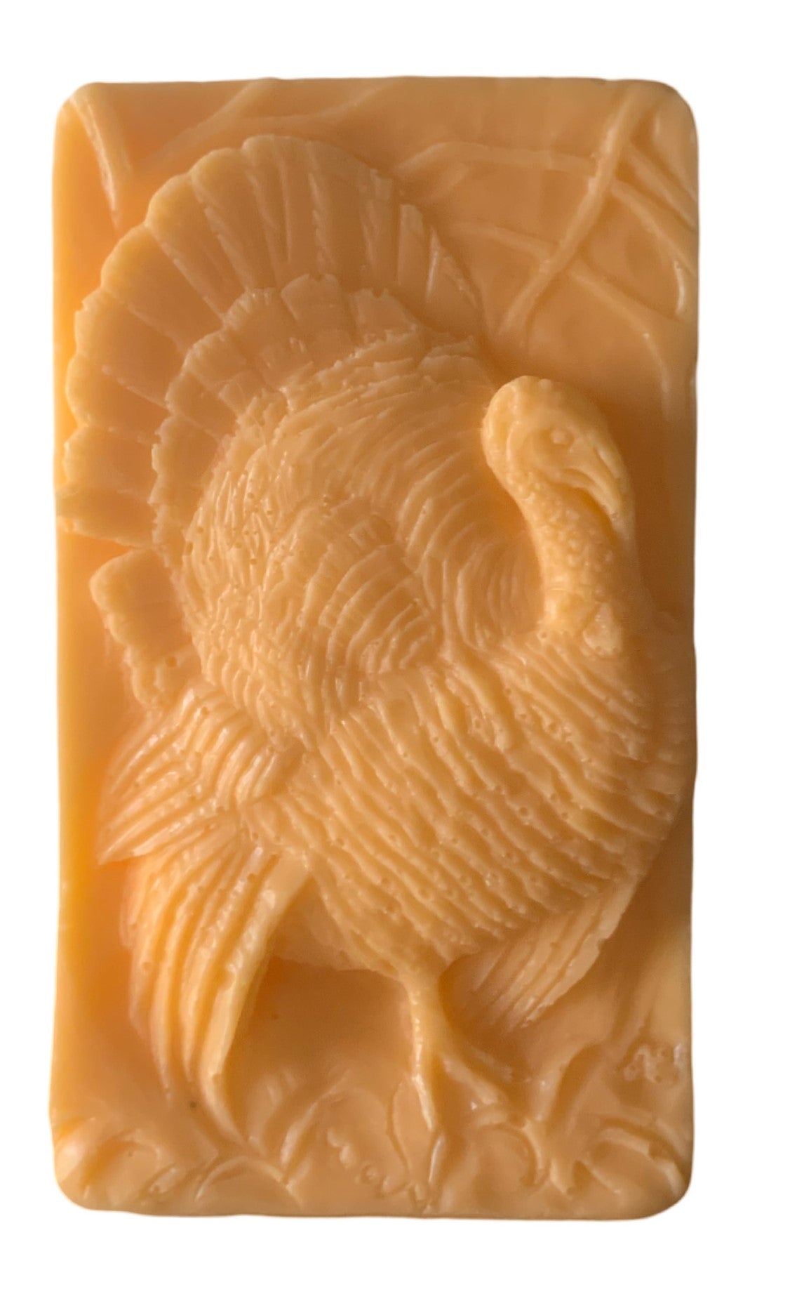 3D Turkey Bar of Soap