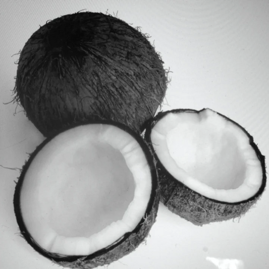 Black Coconut Fragrance Oil