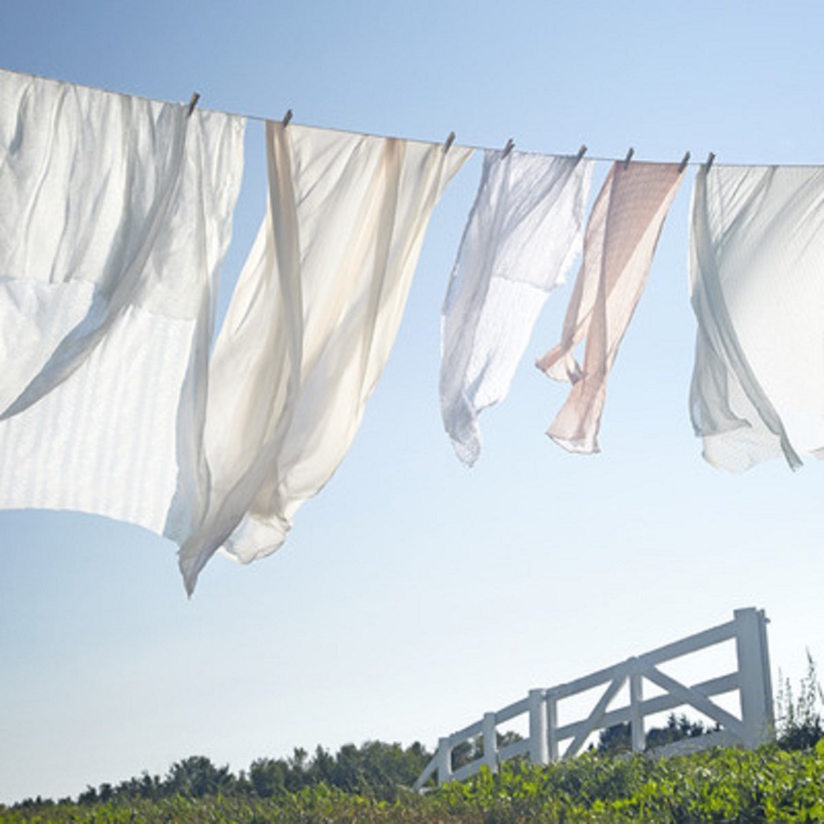 Clean Cotton Fragrance Oil