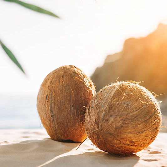 Copper Coconut Fragrance Oil