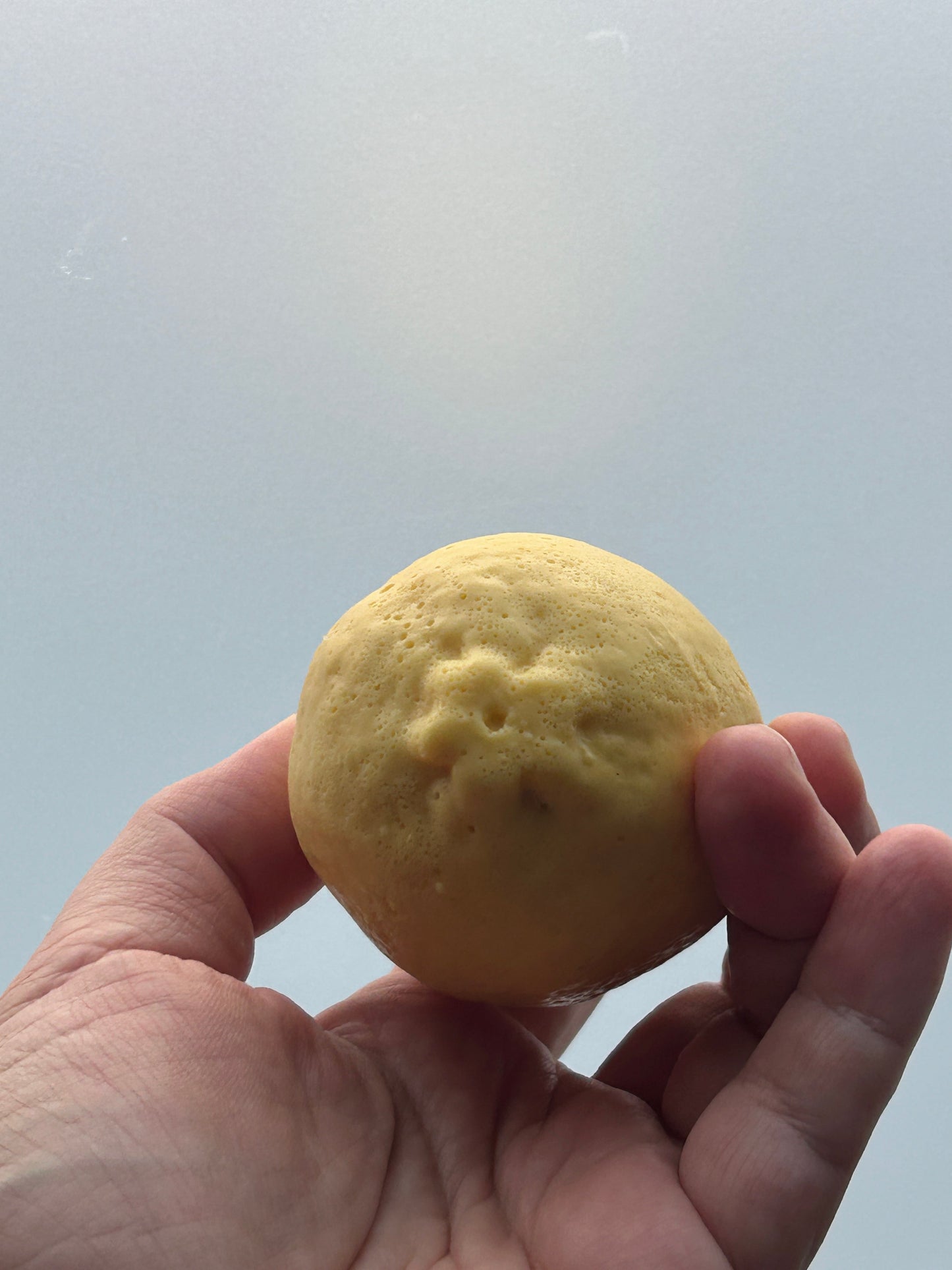 *NEW* Lemon Soap, Goat Milk Based