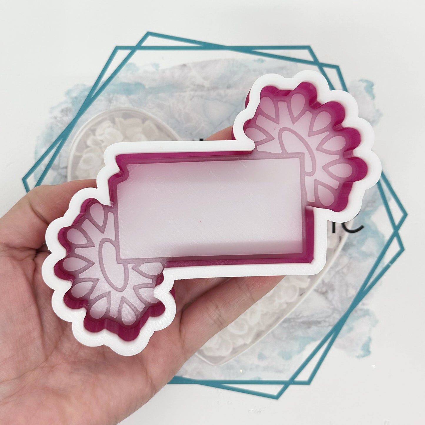 *NEW RELEASE* Concho States Freshie Mold