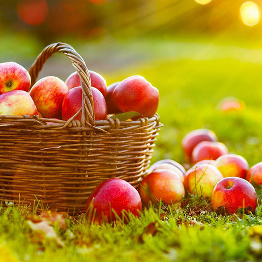 Autumn & Apple Orchard Fragrance Oil