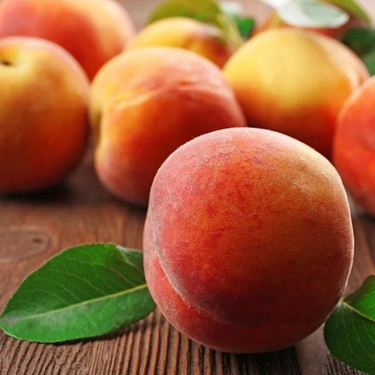 Georgia Peach Fragrance Oil