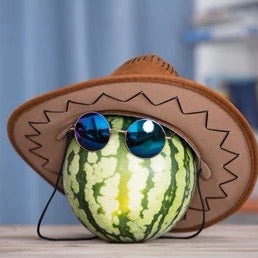 Watermelon Leather Fragrance Oil