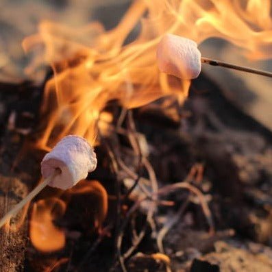Marshmallow Fireside Fragrance Oil