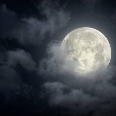 Midsummer's Night (Type) Fragrance Oil