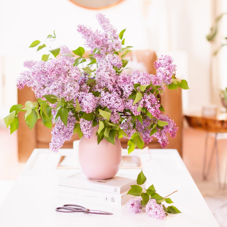 Pink Lilac & Vanilla (Type) Fragrance Oil