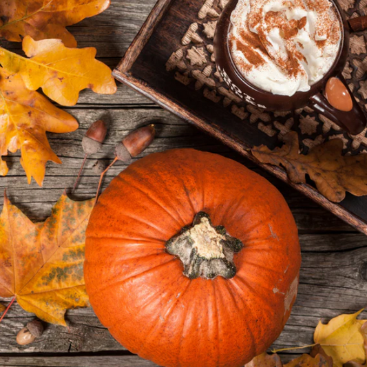 Spiced Pumpkin & Patchouli Fragrance Oil