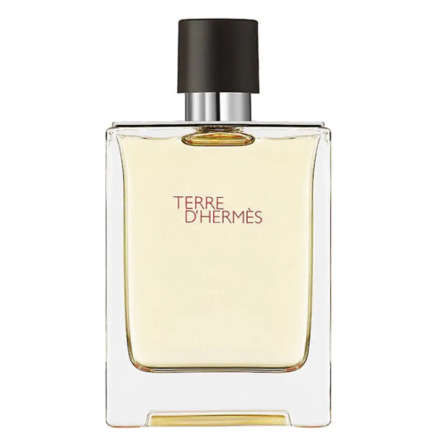 Terre D´hermes By Hermes For Men 3.3 oz EDT Spray