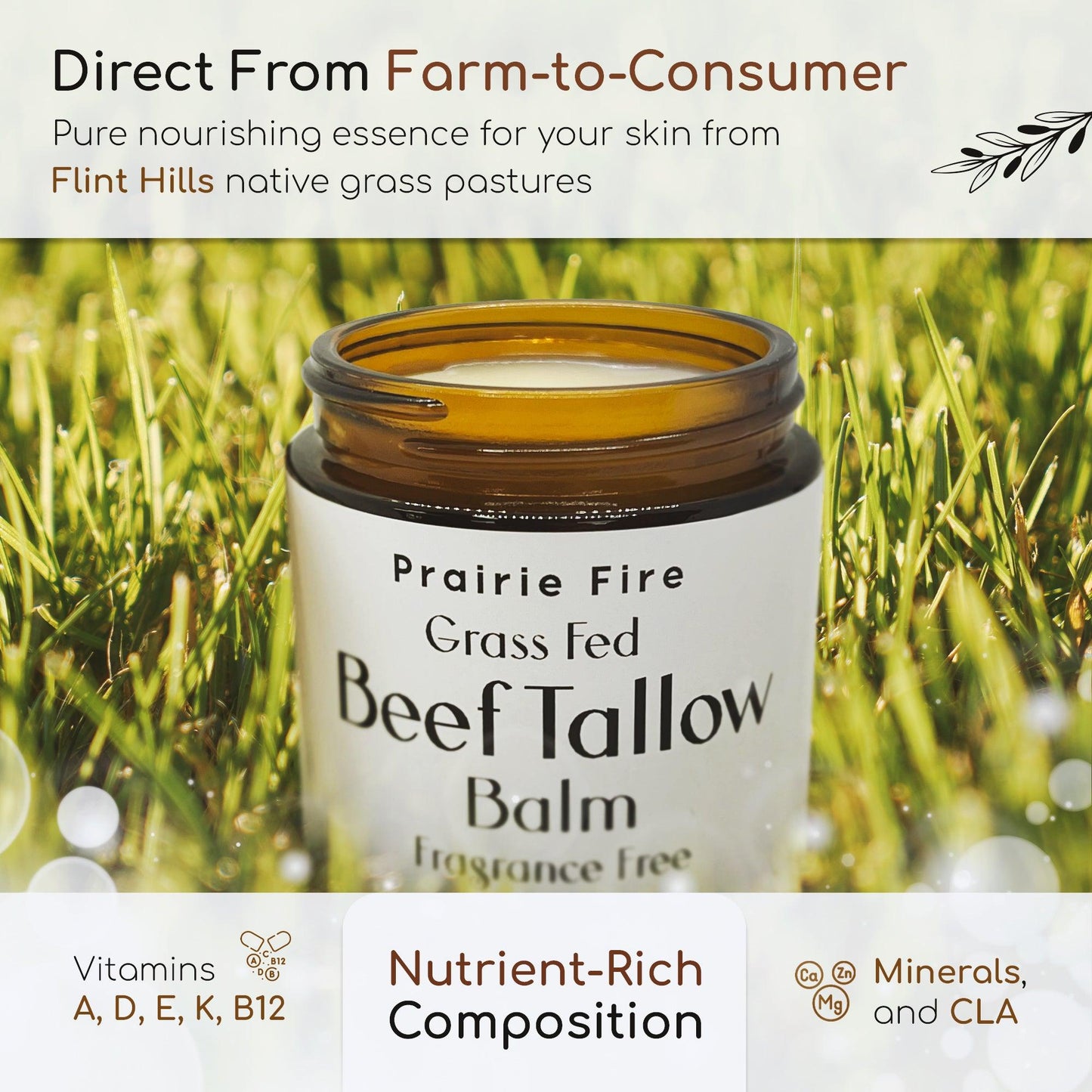 Beef Tallow Balm - 2 oz - Grown and Made in USA - Organic Grass Fed and Finished Tallow - Moisturizing Skin Care