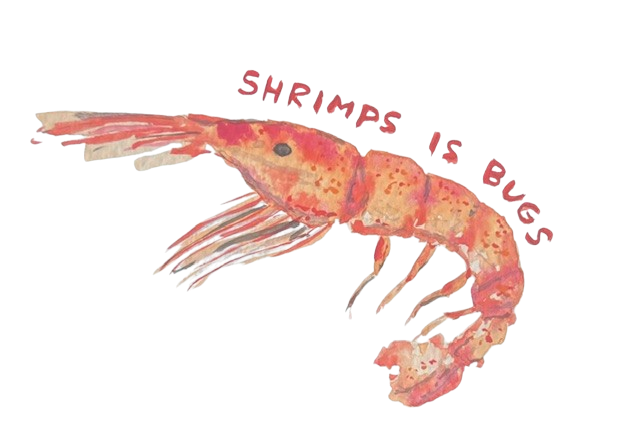 Shrimps is Bugs Vinyl Sticker